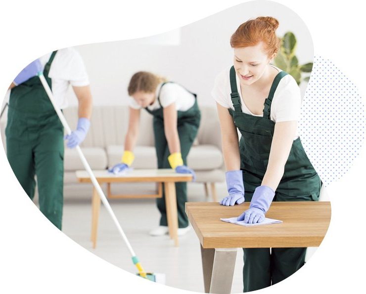 cleaning6
